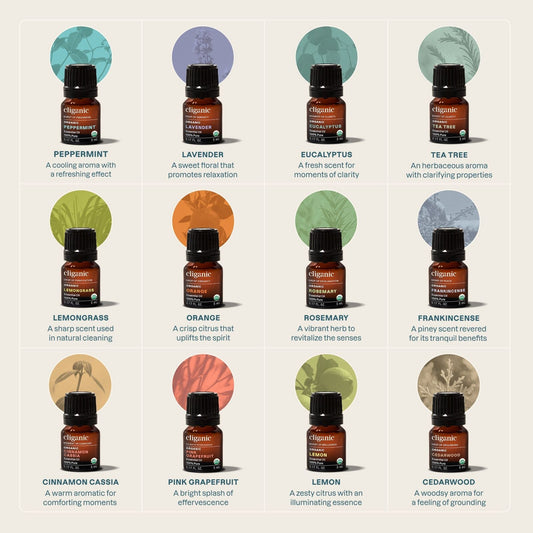 12-Piece Essential Oil Aromatherapy Set