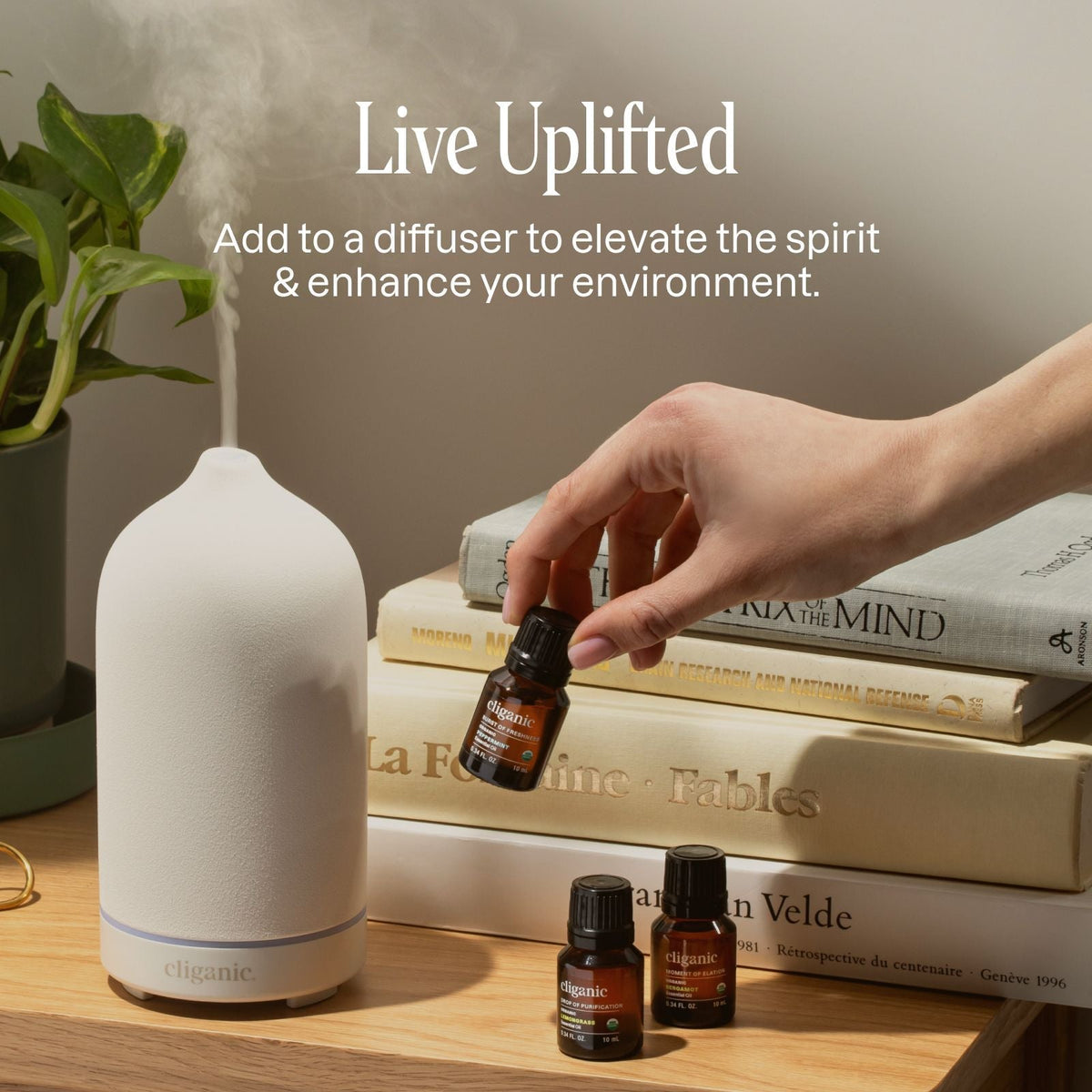 Essential Oil Beginners Kit