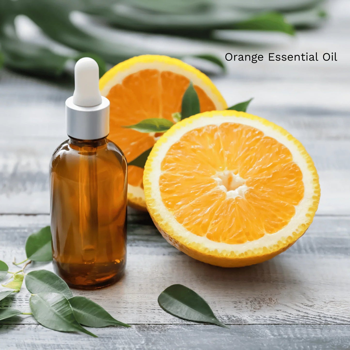 Natural Citrus Shaving Foam