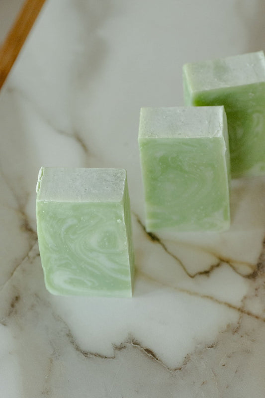Moisturizing Vegan Body Wash - Aloe & Coconut Milk - No Tox Life®
