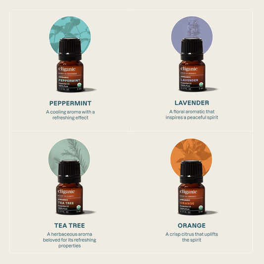 Aromatherapy Signature Starter Kit