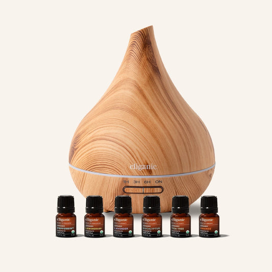 Bundle & Save! Top 6 Essential Oils Set with Diffuser