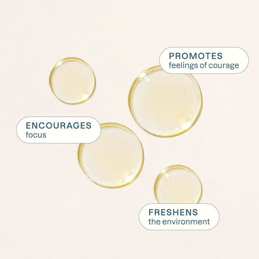 Organic Laurel Essential Oil