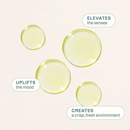 Organic Lime Essential Oil