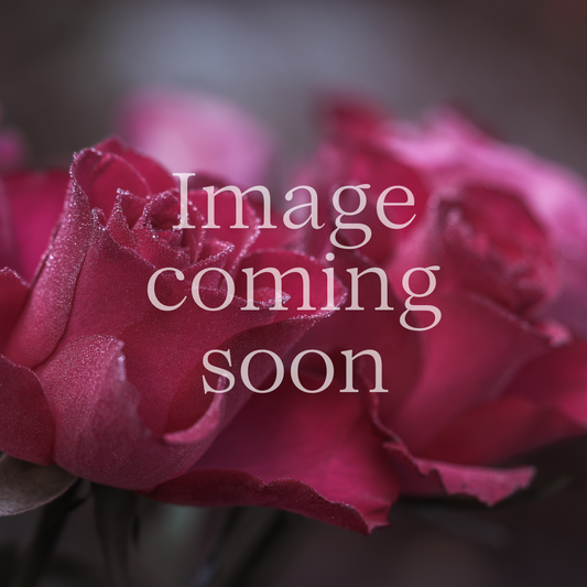 Just the Goods Single Note Multi-functional Floral Hydrosols -- For facial care, baths, and more