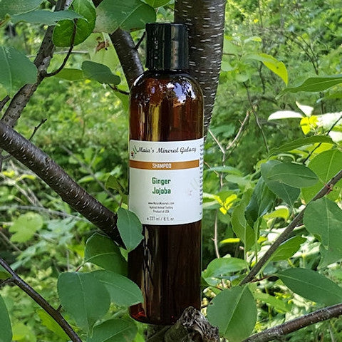 SHAMPOO - GINGER & JOJOBA