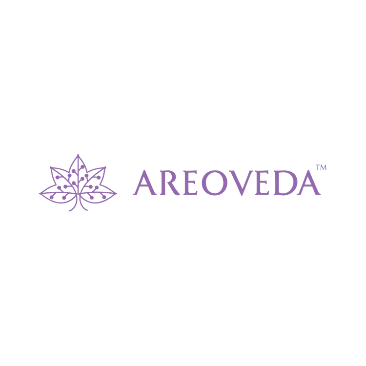 AreoVeda logo [a64af901aabf630c]
