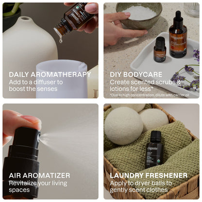 12-Piece Essential Oil Aromatherapy Set