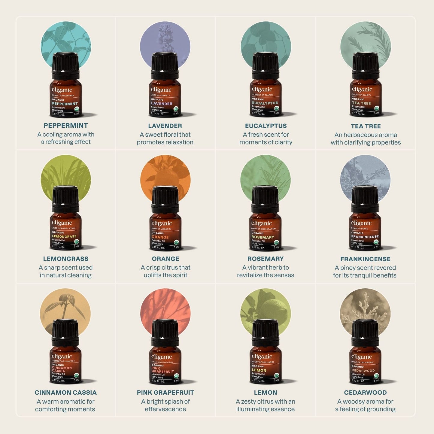 12-Piece Essential Oil Aromatherapy Set