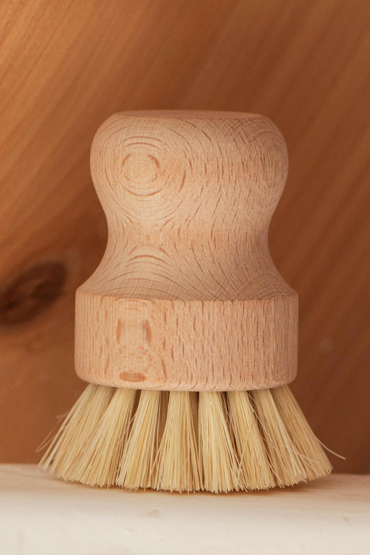 CASA AGAVE® Dish Brush White Teakwood - No Tox Life®