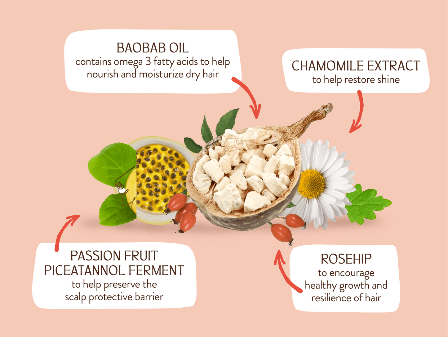 Defining Baobab & Rosehip Shampoo Bar
