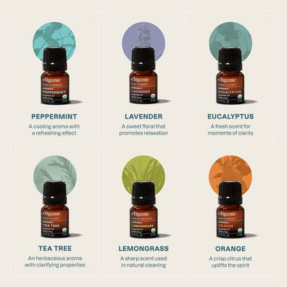 6-Piece Essential Oil Aromatherapy Set