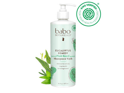 Eucalyptus Remedy Plant-Based Shampoo & Wash - 16oz