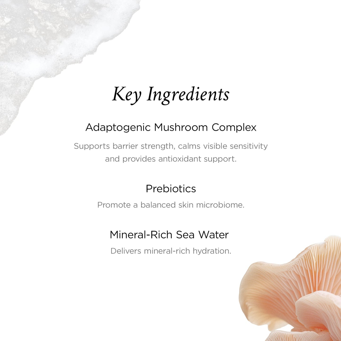 Adaptogen Facial Cream