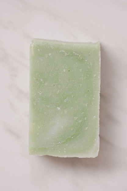 Moisturizing Vegan Body Wash - Aloe & Coconut Milk - No Tox Life®