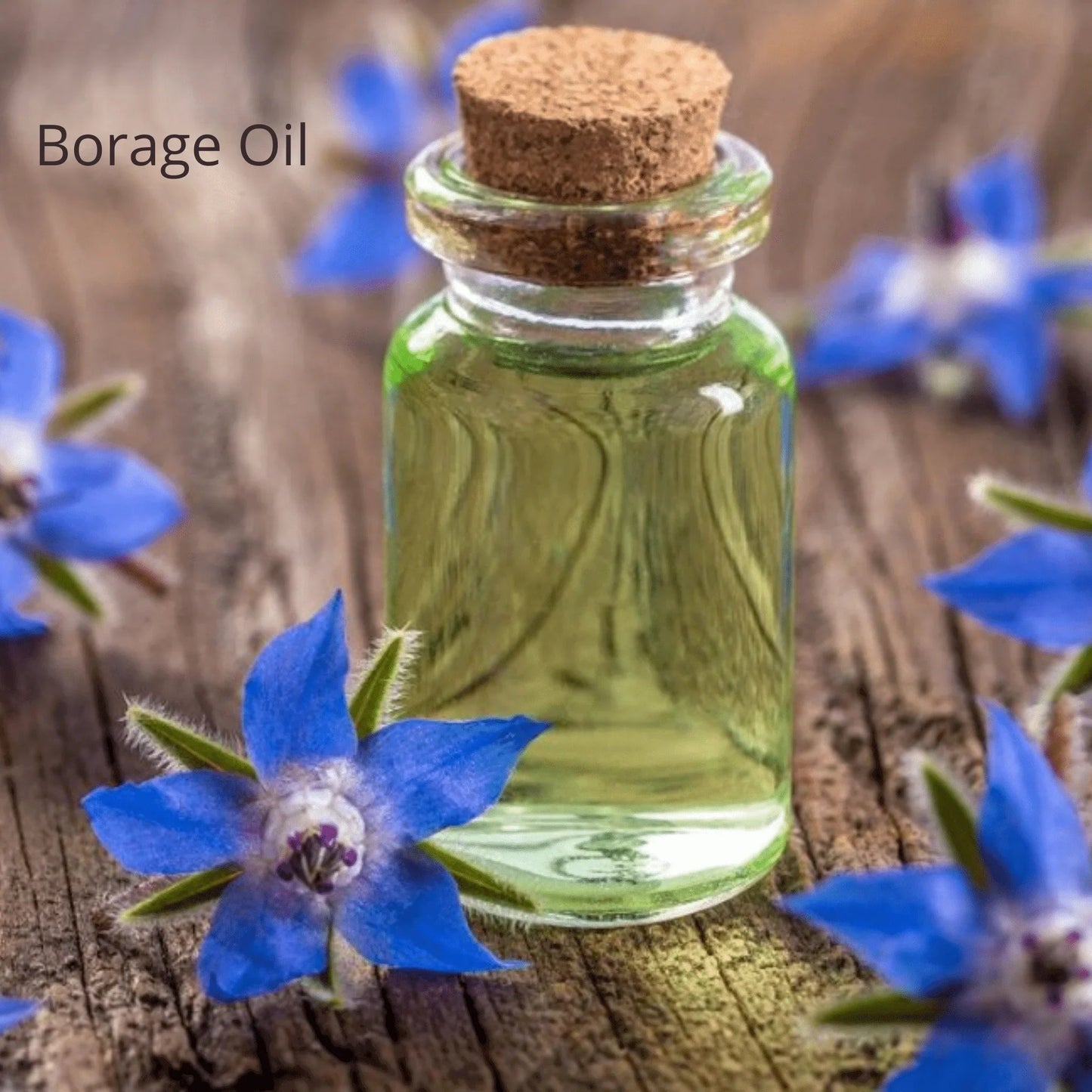 Natural Facial Oil Serum for Dry & Normal Skin