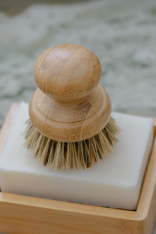 CASA AGAVE® Pot Brush - No Tox Life®