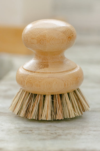 CASA AGAVE® Pot Brush - No Tox Life®