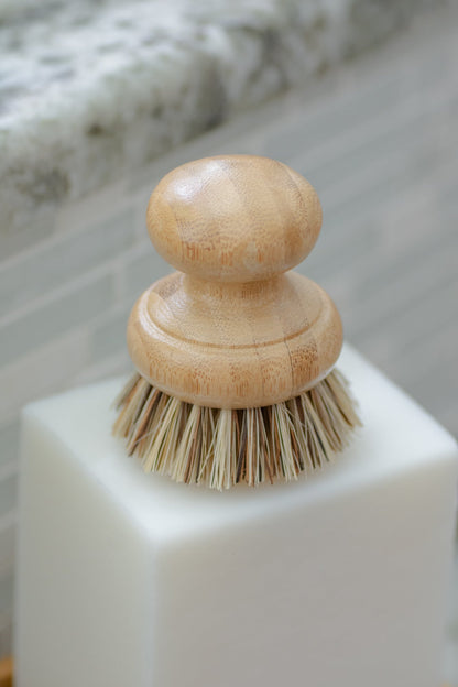 CASA AGAVE® Pot Brush - No Tox Life®