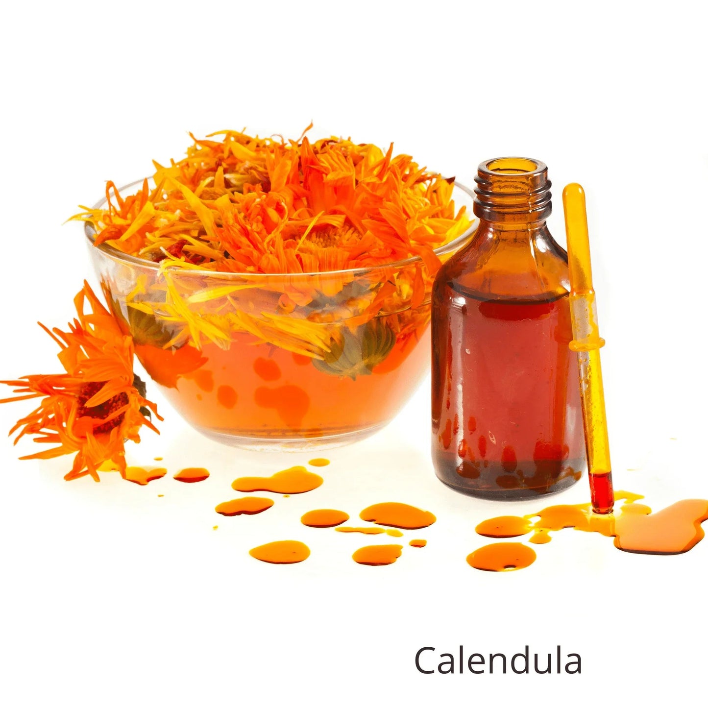 Rosehip Regenerative Facial Oil Serum