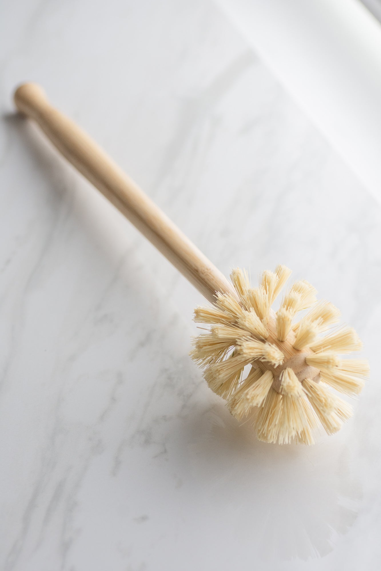 CASA AGAVE® Sphere Dish Brush - No Tox Life®