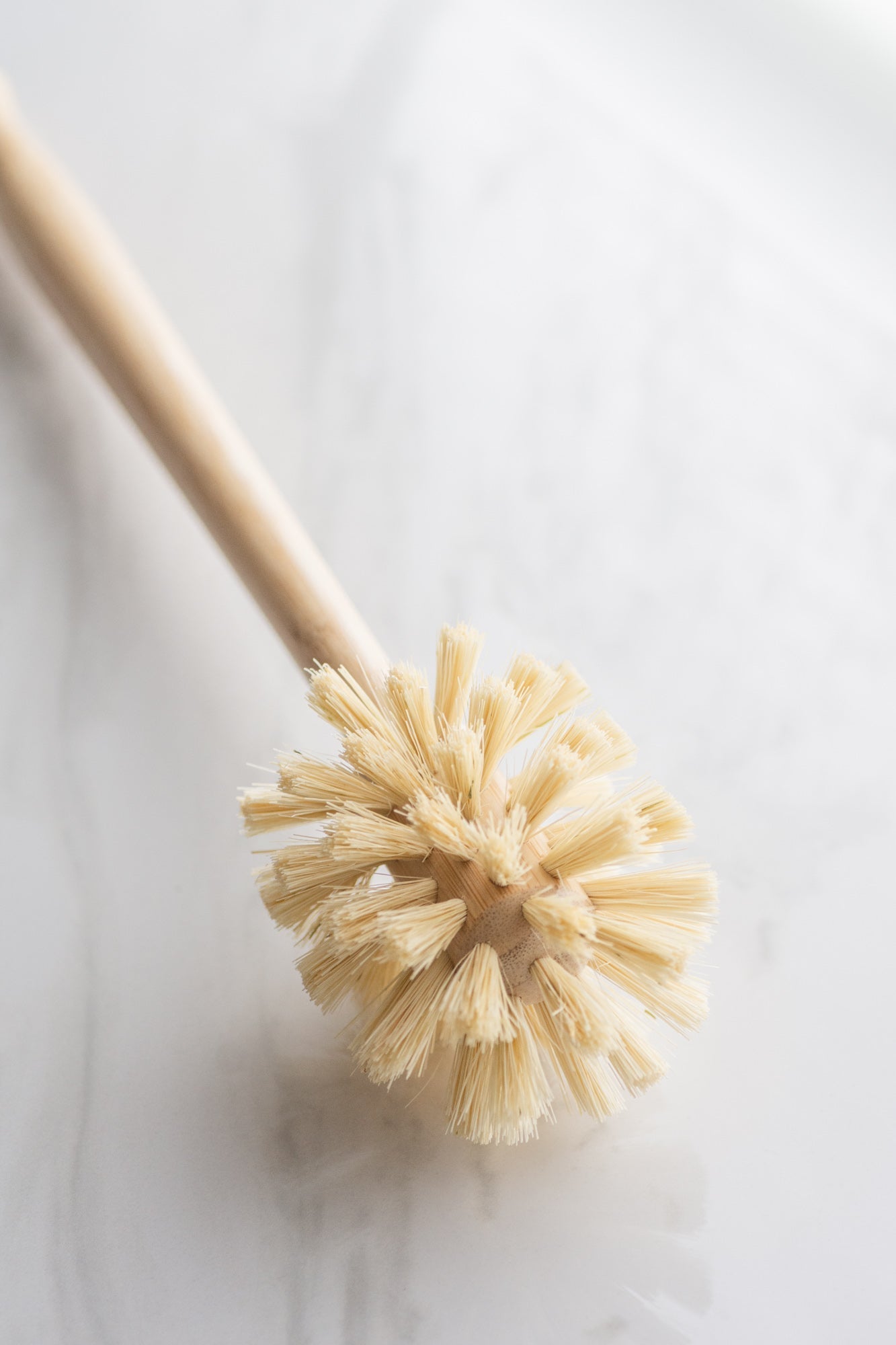 CASA AGAVE® Sphere Dish Brush - No Tox Life®