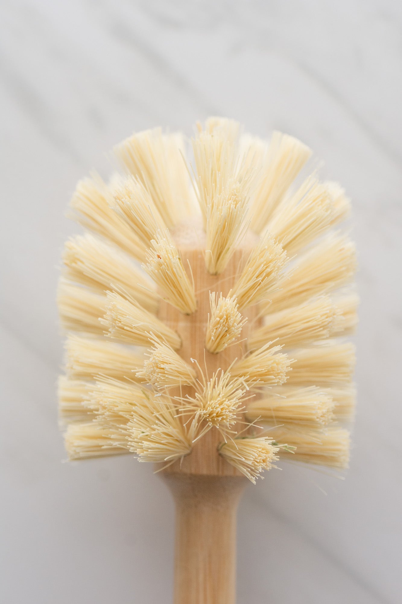 CASA AGAVE® Sphere Dish Brush - Bundle of 2 - No Tox Life®