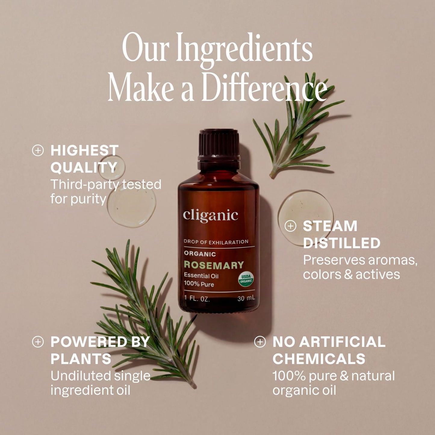 Organic Rosemary Essential Oil