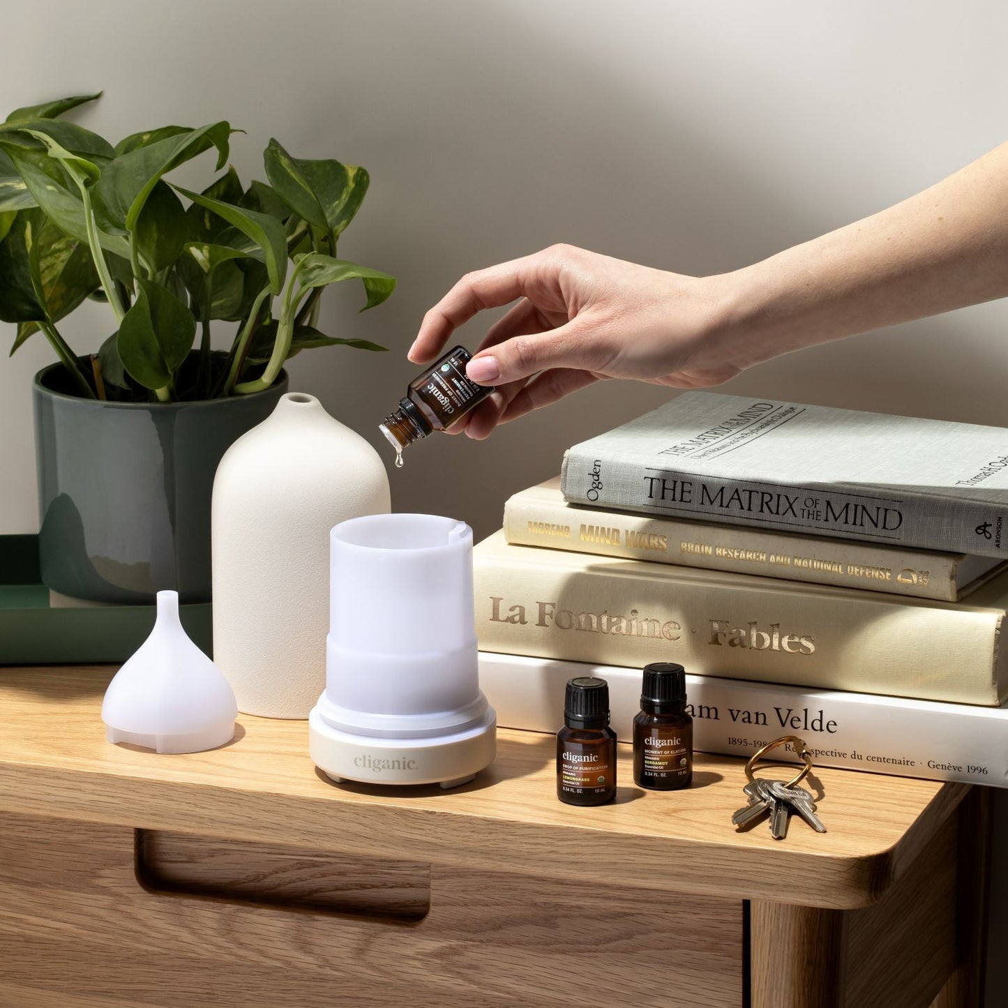 Essential Oil Diffuser
