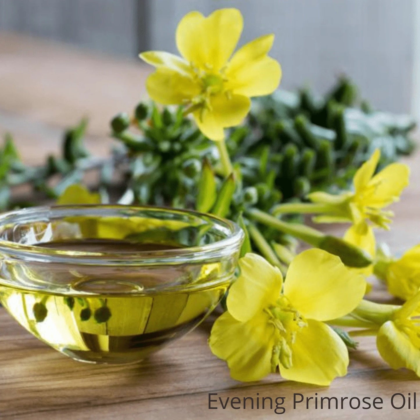 Evening Primrose Body Oil