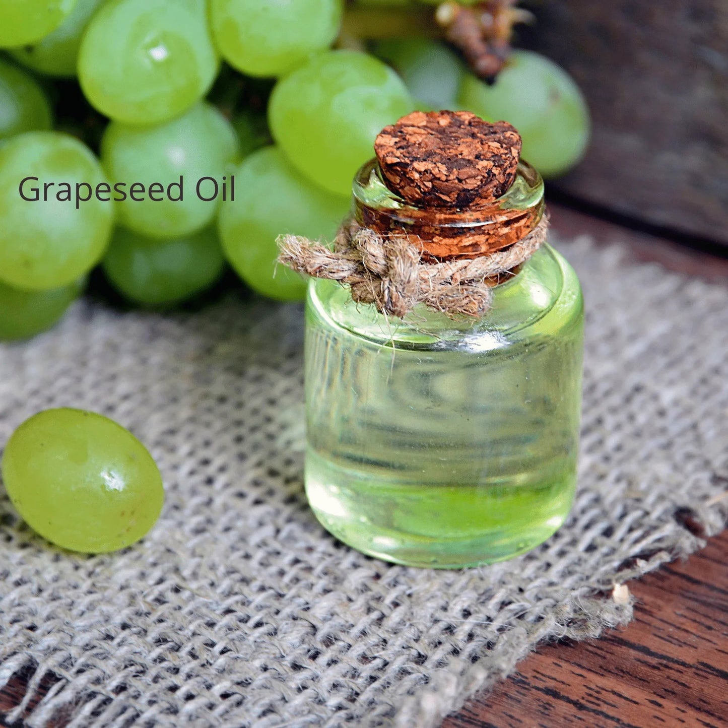 Day Cream for Dry/Normal Skin - Fragrance-Free