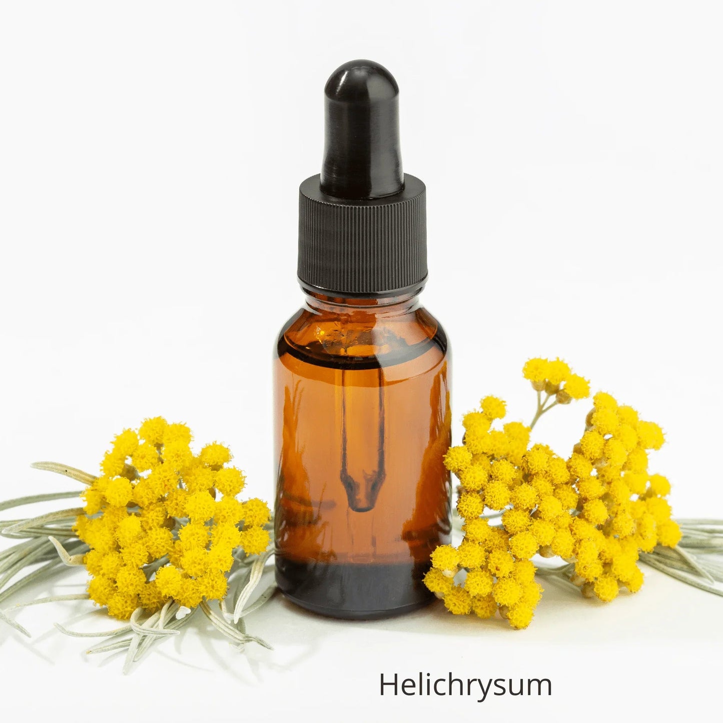 Rosehip Regenerative Facial Oil Serum