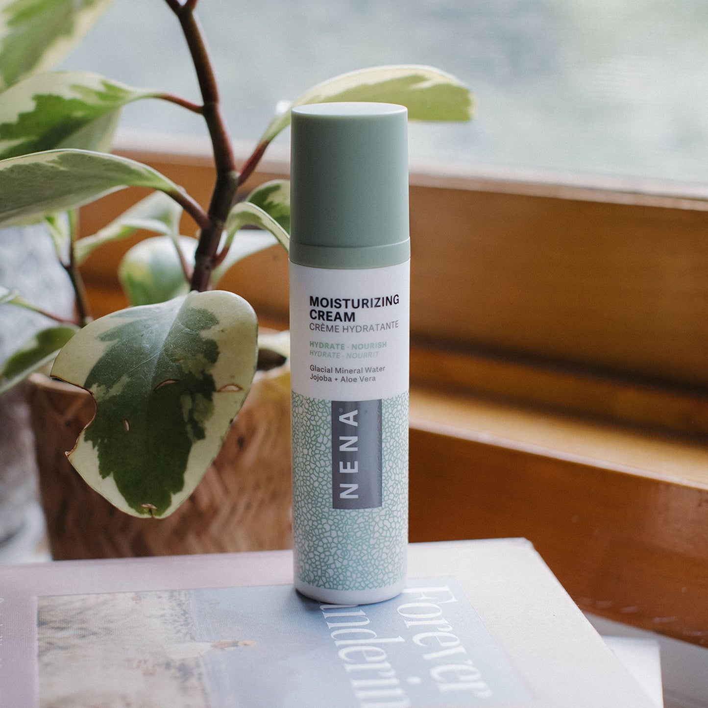 Moisturizing Cream