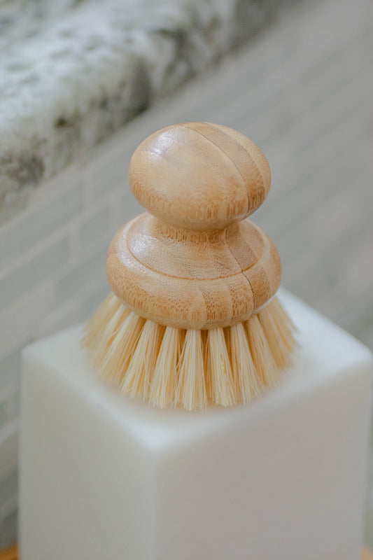 CASA AGAVE® Dish Brush - No Tox Life®