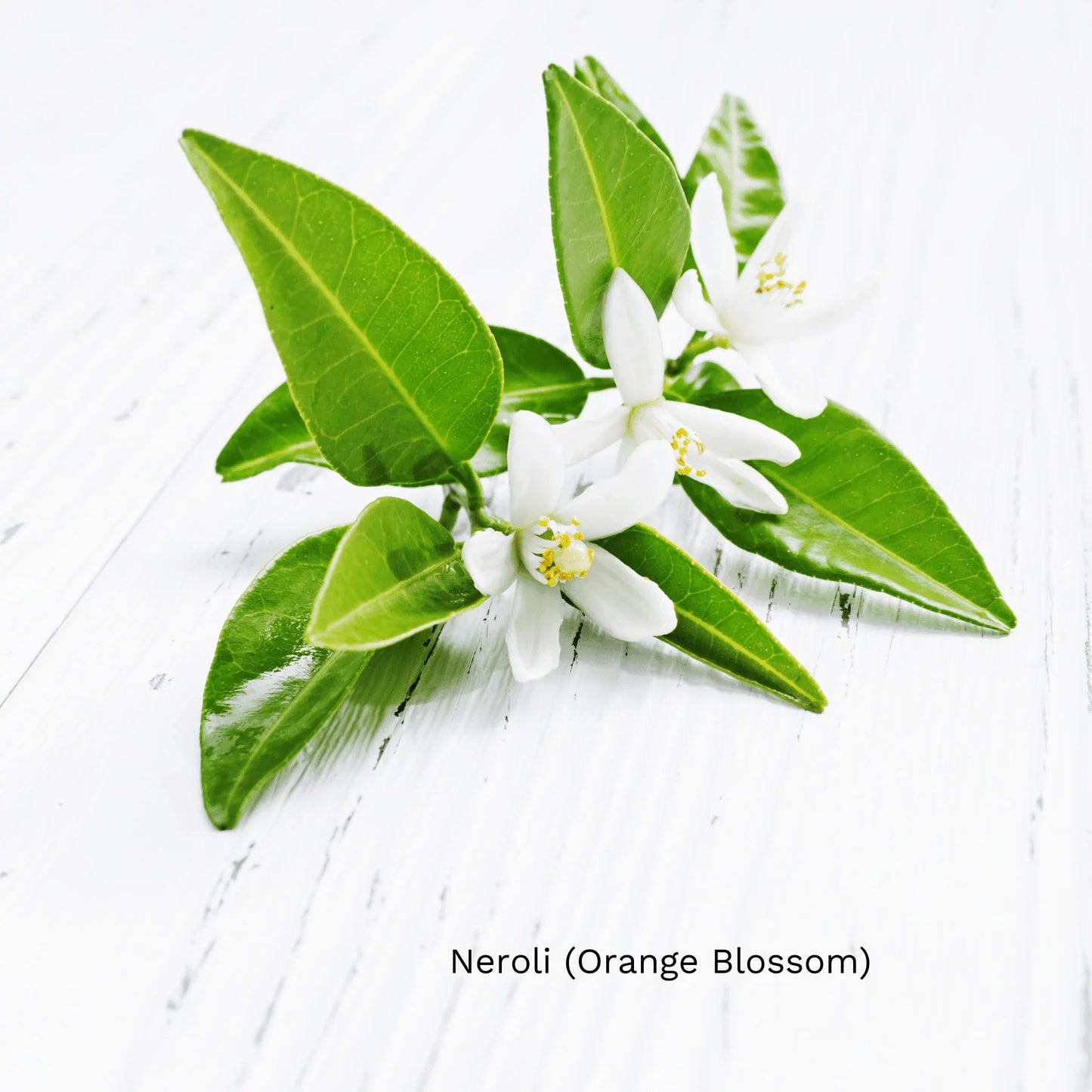 RevitaLuxe Radiance Serum with Vitamin C & Hyaluronic Acid