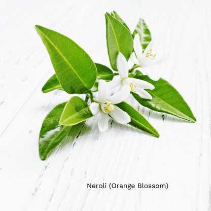 RevitaLuxe Radiance Serum with Vitamin C & Hyaluronic Acid