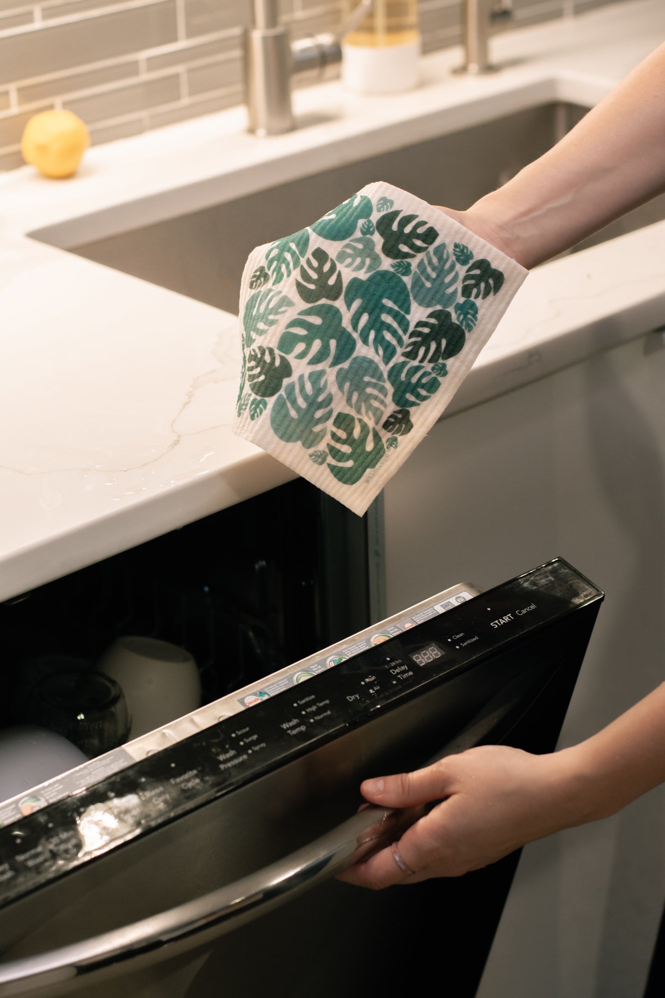 WASHCLOUD® - CITRUS SUNRISE (ORANGES) - No Tox Life®