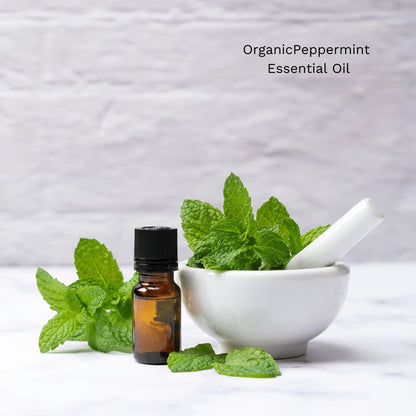 All-Natural Stick Deodorant – EWG Verified, Aluminum-Free