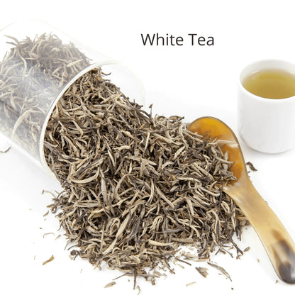 Pomegranate + White Tea Alcohol Free Facial Toner