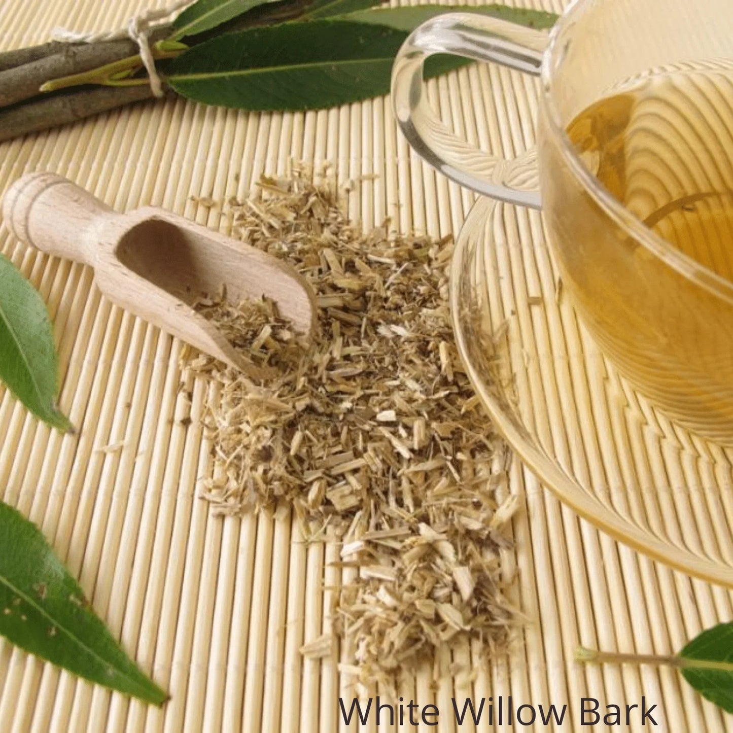 Green Tea Foaming Facial Cleanser for Normal, Oily & Combination Skin