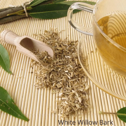 Green Tea Foaming Facial Cleanser for Normal, Oily & Combination Skin