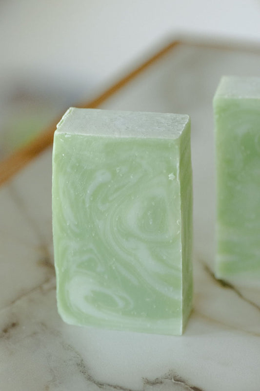 Moisturizing Vegan Body Wash - Aloe & Coconut Milk - No Tox Life®