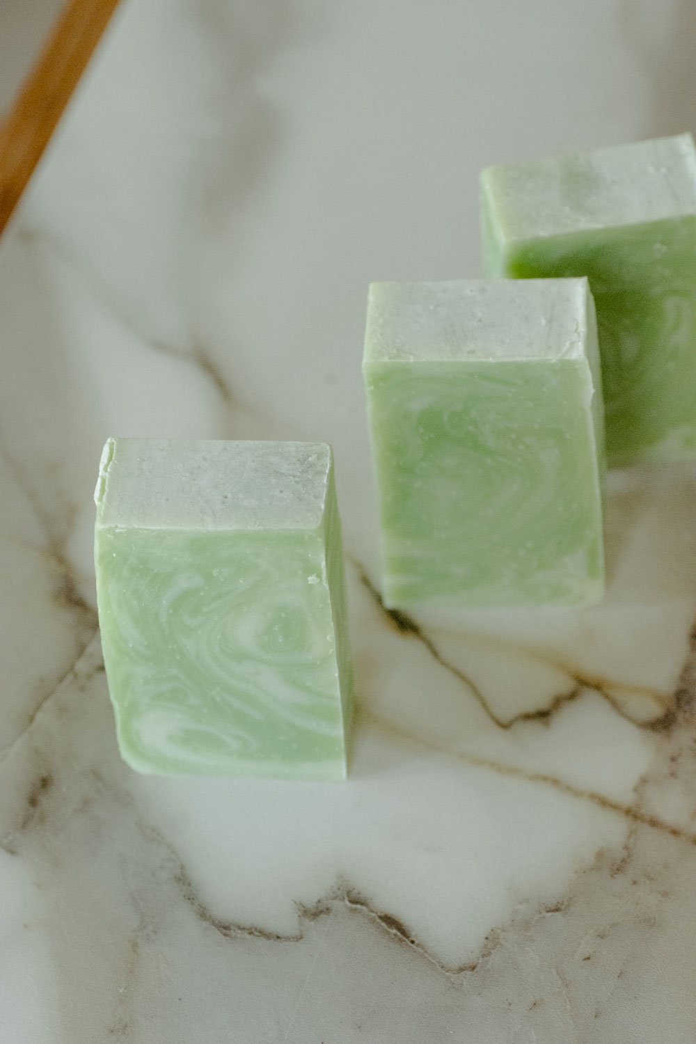 Moisturizing Vegan Body Wash - Aloe & Coconut Milk - No Tox Life®