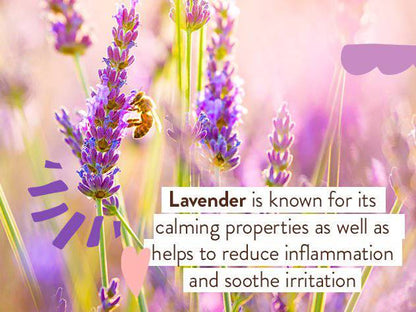 Calming Lavender Bubble Bath & Wash Duo