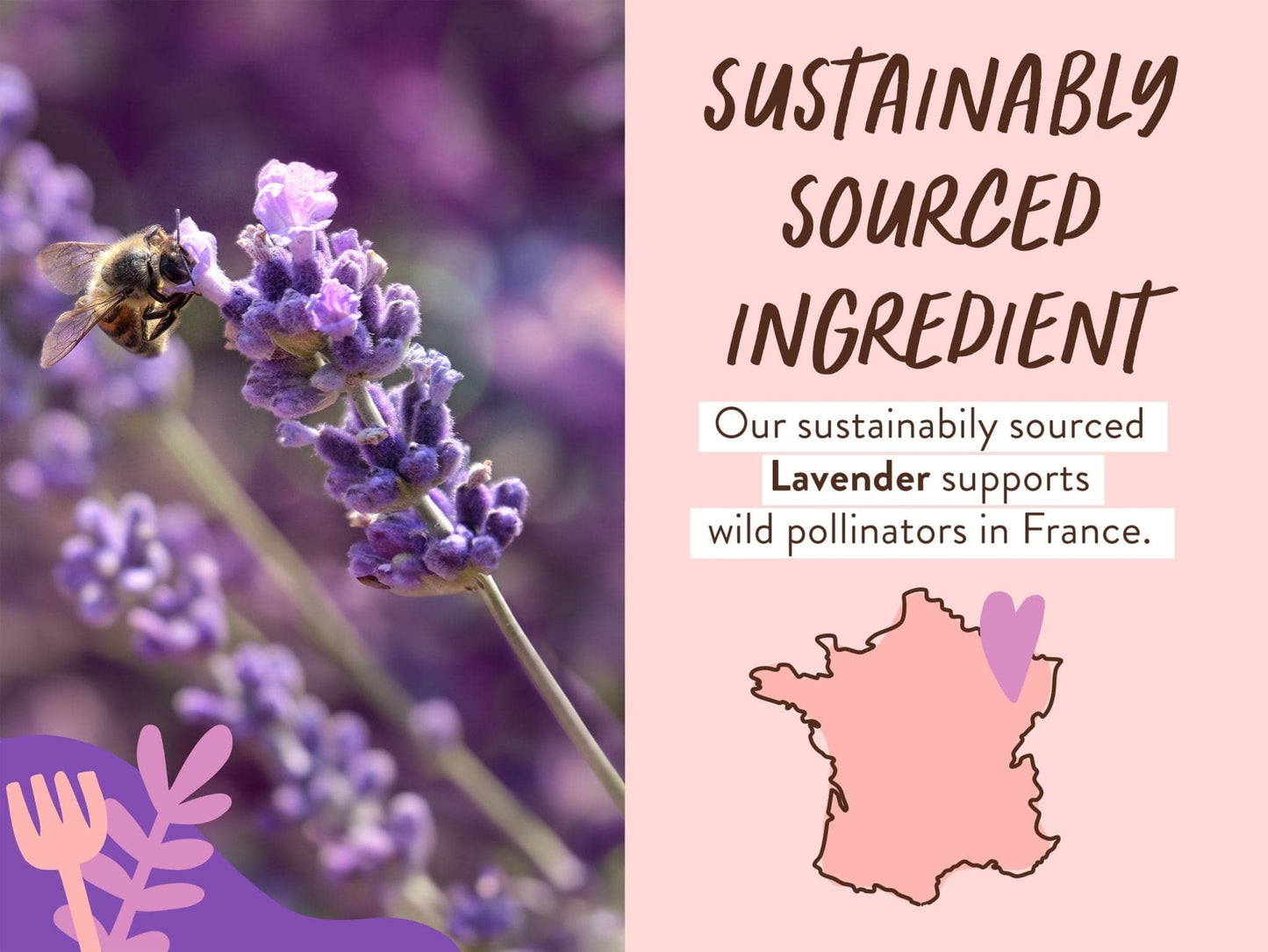 Calming Lavender Bubble Bath & Wash Duo
