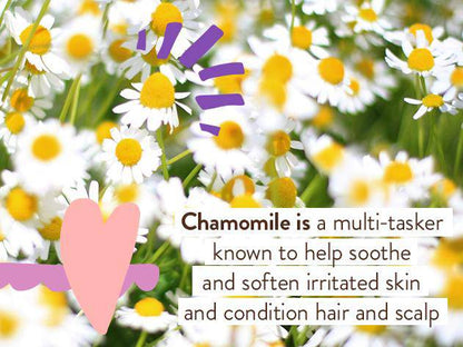 Calming Lavender Care Routine (Bubble Bath + Lotion)