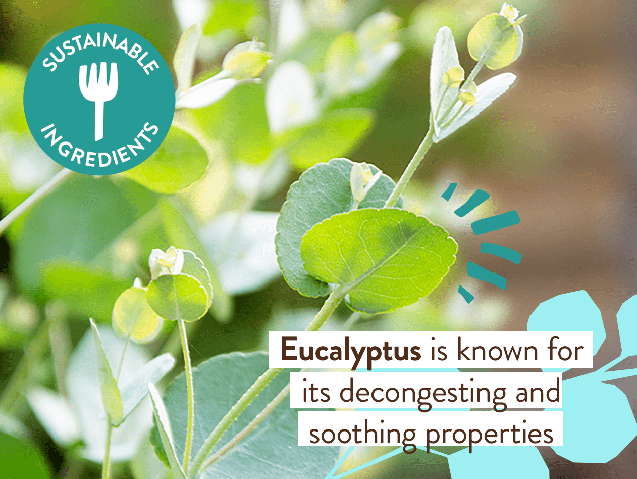 Eucalyptus Remedy Organic Soothing Chest Rub