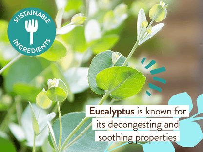 Eucalyptus Remedy Organic Soothing Chest Rub