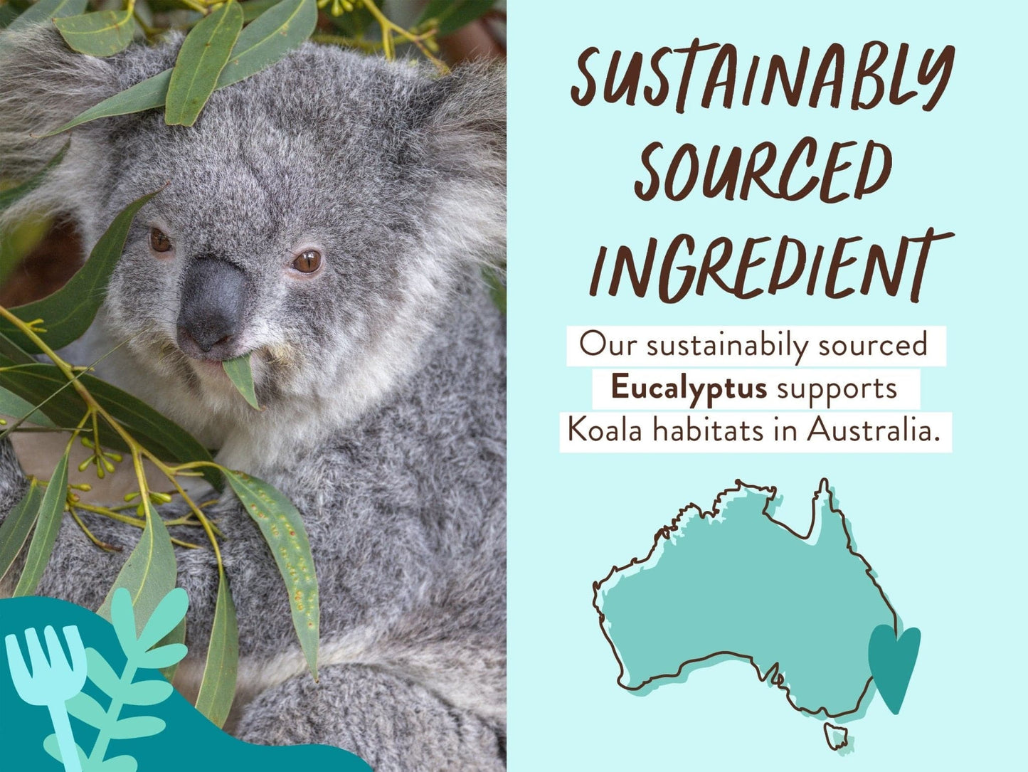 Eucalyptus Remedy Plant-Based Bubble Bath & Wash Duo