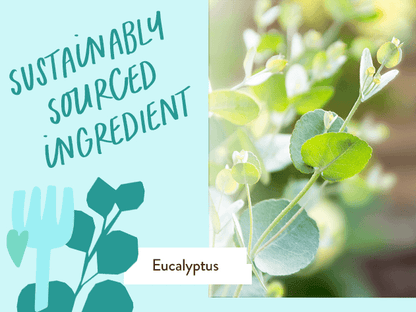 Eucalyptus Remedy Plant-Based Conditioner
